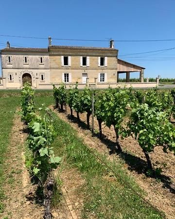 Gite Du Chateau La Rose Des Vents Villa Puisseguin Eksteriør bilde