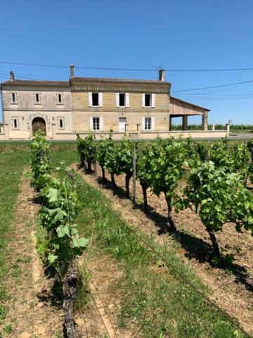 Gite Du Chateau La Rose Des Vents Villa Puisseguin Eksteriør bilde